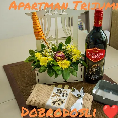 Apartment Trijumf Bajina Basta